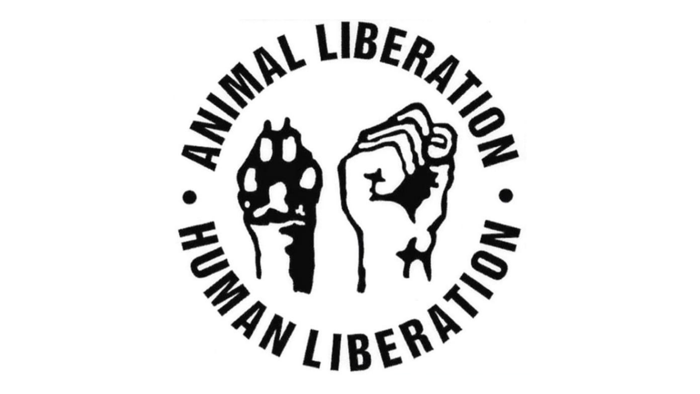 Animal vs Human